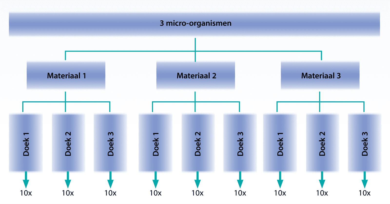 Afbeelding 2.1: Schematische weergave onderzoeksopzet